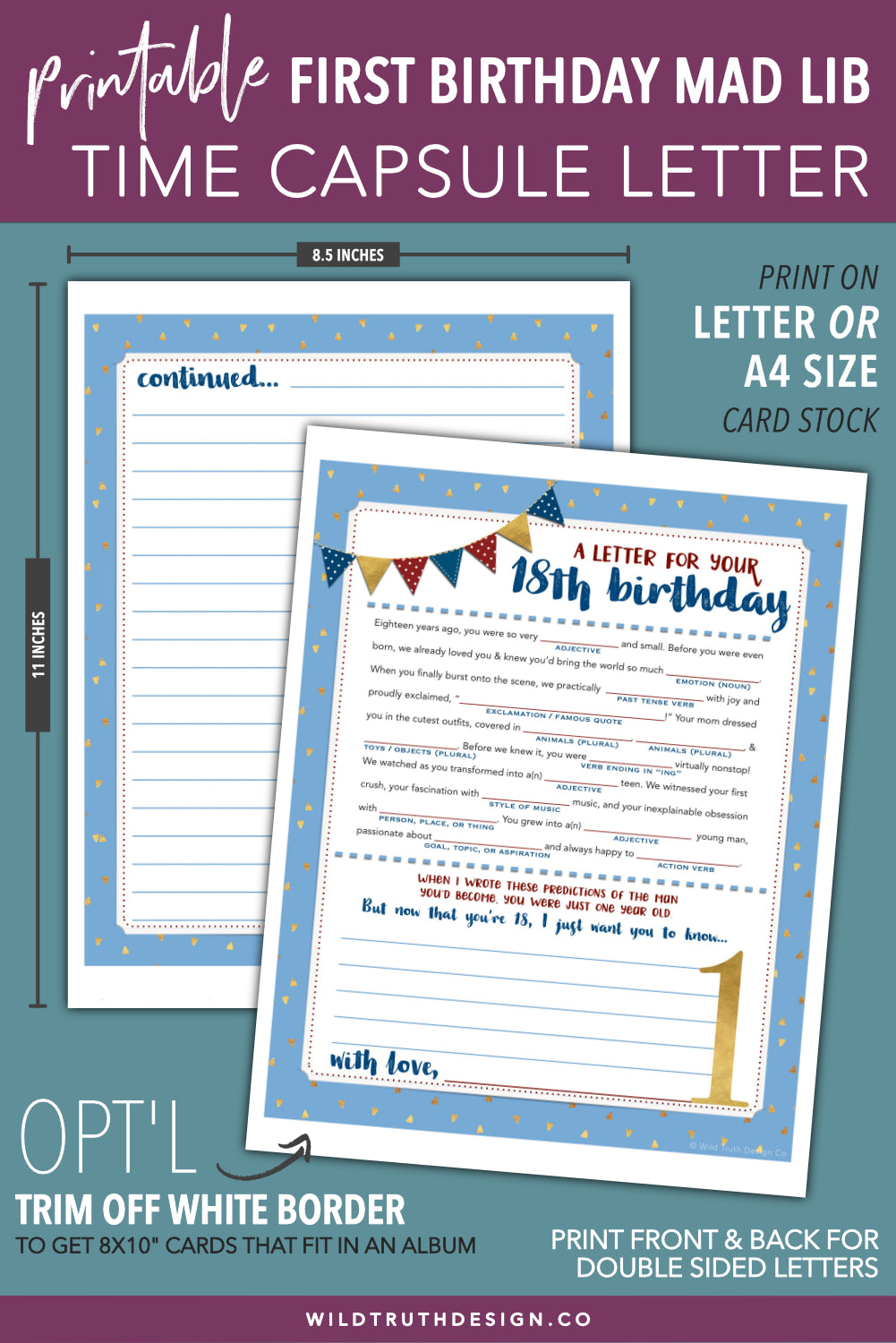 Boys First Birthday Time Capsule Printable Mad Lib Letter