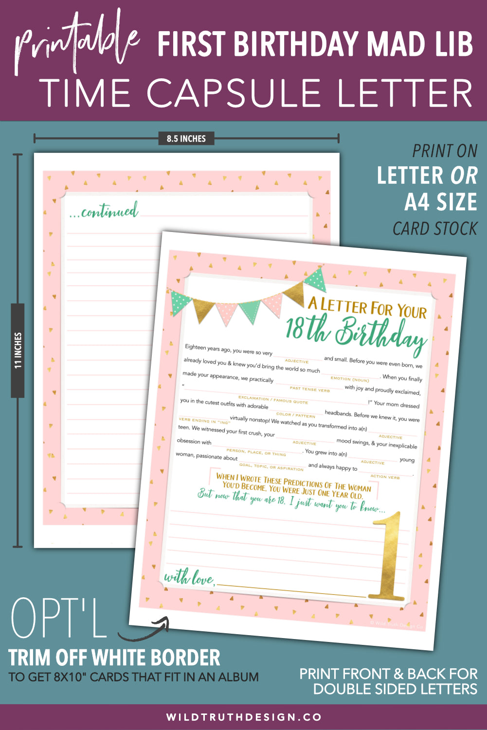 Girls First Birthday Time Capsule Printable Mad Lib Letter