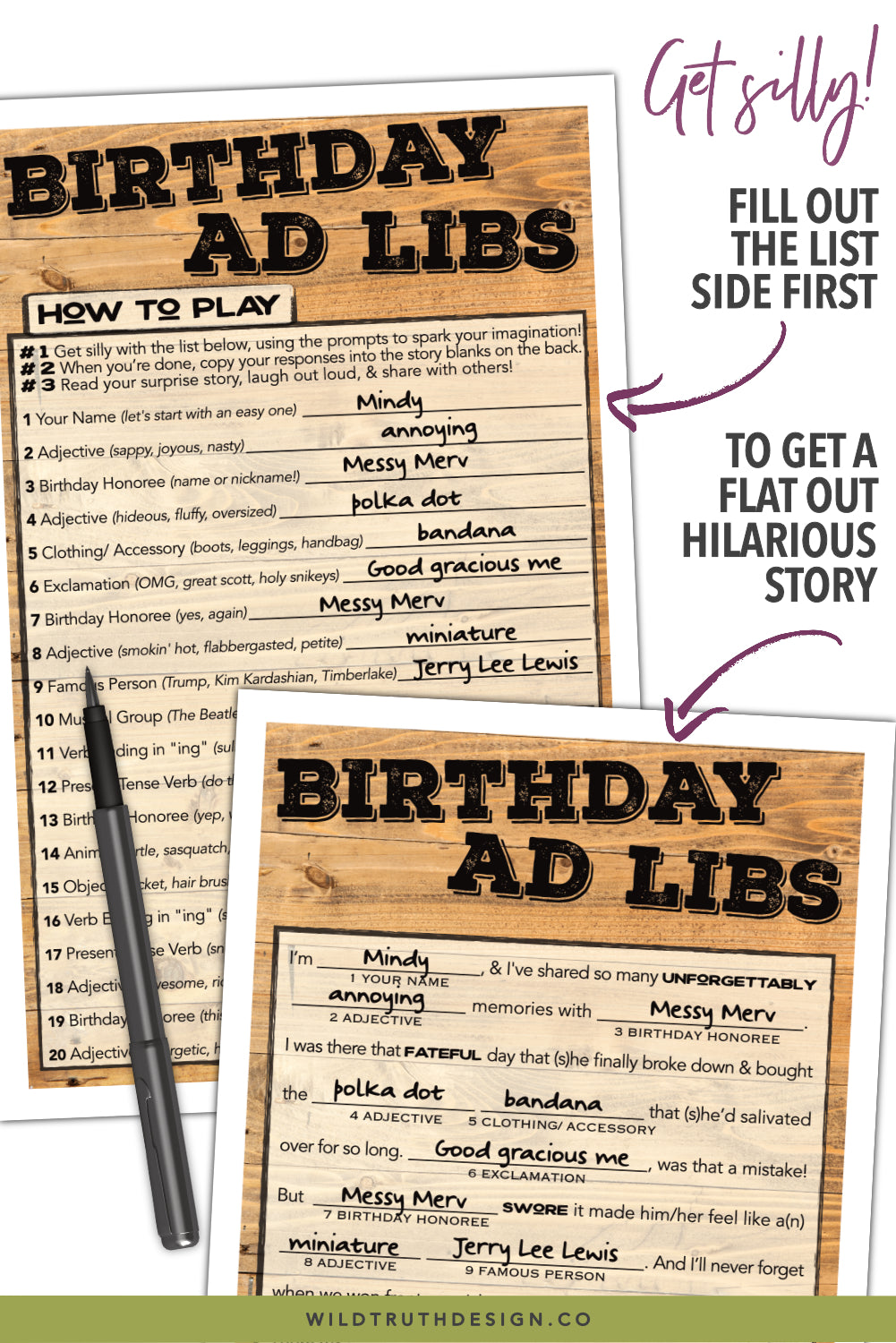 Unique Birthday Mad Lib Adults Teens Party Game by Wild Truth Design Co